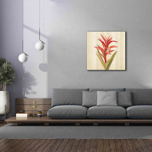 'Tropical Garden III' by Silvia Vassileva, Canvas Wall Art,37 x 37