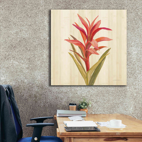 Image of 'Tropical Garden III' by Silvia Vassileva, Canvas Wall Art,37 x 37