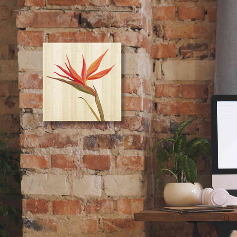 Image of 'Tropical Garden IV' by Silvia Vassileva, Canvas Wall Art,12 x 12