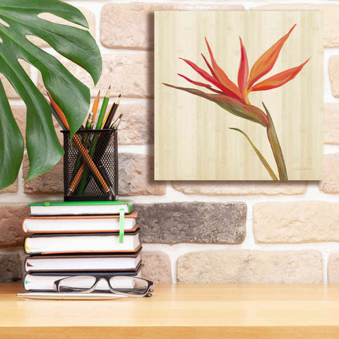 Image of 'Tropical Garden IV' by Silvia Vassileva, Canvas Wall Art,12 x 12