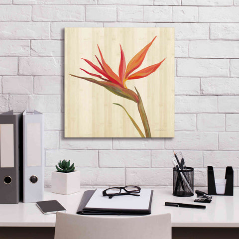 Image of 'Tropical Garden IV' by Silvia Vassileva, Canvas Wall Art,18 x 18
