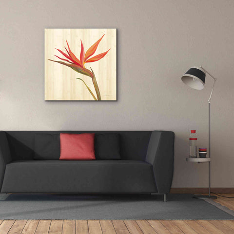 Image of 'Tropical Garden IV' by Silvia Vassileva, Canvas Wall Art,37 x 37