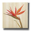 'Tropical Garden IV' by Silvia Vassileva, Canvas Wall Art,12x12x1.1x0,18x18x1.1x0,26x26x1.74x0,37x37x1.74x0