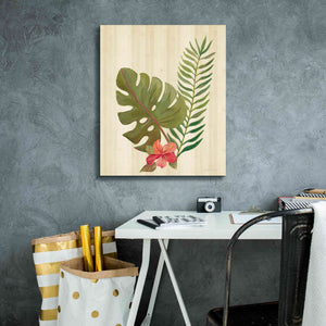 'Tropical Garden V' by Silvia Vassileva, Canvas Wall Art,20 x 24