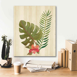 'Tropical Garden V' by Silvia Vassileva, Canvas Wall Art,20 x 24