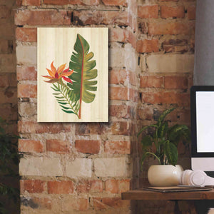 'Tropical Garden VI' by Silvia Vassileva, Canvas Wall Art,12 x 16