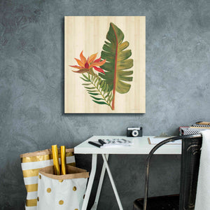 'Tropical Garden VI' by Silvia Vassileva, Canvas Wall Art,20 x 24