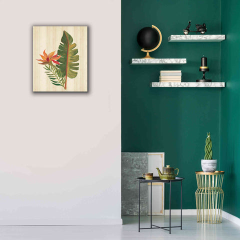 Image of 'Tropical Garden VI' by Silvia Vassileva, Canvas Wall Art,20 x 24