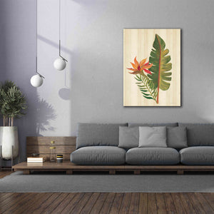 'Tropical Garden VI' by Silvia Vassileva, Canvas Wall Art,40 x 54