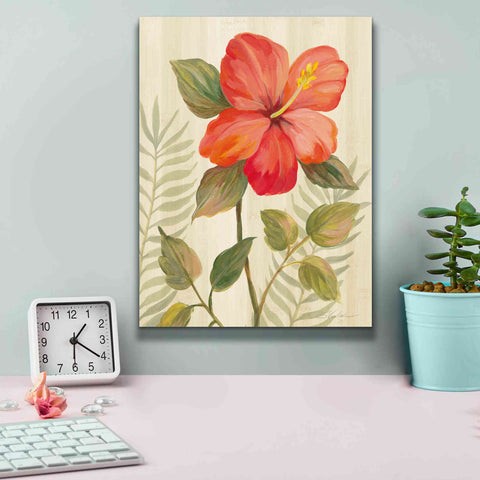 Image of 'Tropical Garden XI' by Silvia Vassileva, Canvas Wall Art,12 x 16