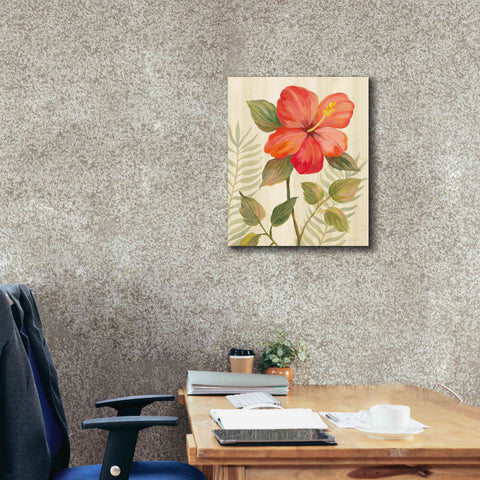 Image of 'Tropical Garden XI' by Silvia Vassileva, Canvas Wall Art,20 x 24