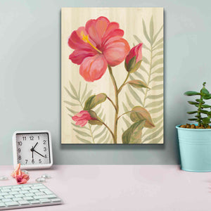 'Tropical Garden XII' by Silvia Vassileva, Canvas Wall Art,12 x 16