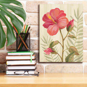 'Tropical Garden XII' by Silvia Vassileva, Canvas Wall Art,12 x 16