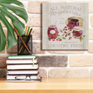'Homemade Happiness IV' by Silvia Vassileva, Canvas Wall Art,12 x 12