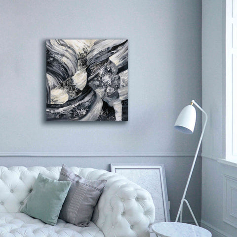 Image of Epic Art 'Graphic Canyon I' by Silvia Vassileva, Canvas Wall Art,37 x 37