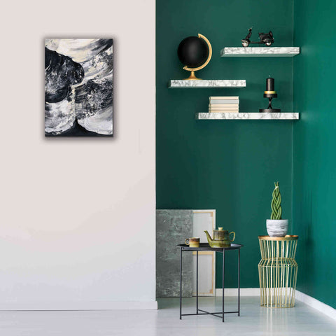 Image of Epic Art 'Graphic Canyon II' by Silvia Vassileva, Canvas Wall Art,18 x 26