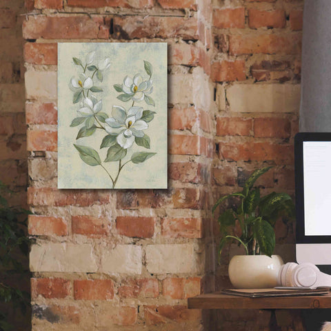 Image of Epic Art 'Sage Magnolia' by Silvia Vassileva, Canvas Wall Art,12 x 16