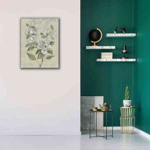 Epic Art 'Sage Magnolia' by Silvia Vassileva, Canvas Wall Art,26 x 34