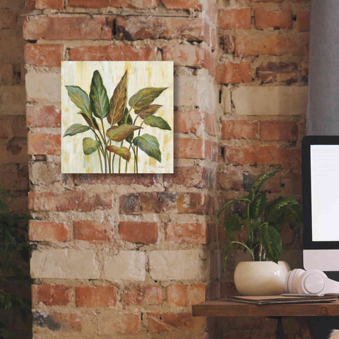 Image of Epic Art 'Fall Greenhouse Leaves' by Silvia Vassileva, Canvas Wall Art,12 x 12