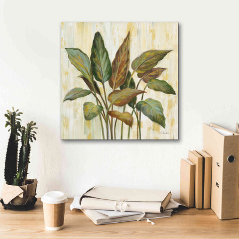 Image of Epic Art 'Fall Greenhouse Leaves' by Silvia Vassileva, Canvas Wall Art,18 x 18