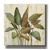 Epic Art 'Fall Greenhouse Leaves' by Silvia Vassileva, Canvas Wall Art,12x12x1.1x0,18x18x1.1x0,26x26x1.74x0,37x37x1.74x0