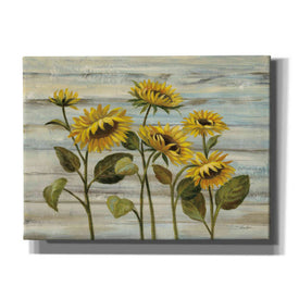 Epic Art 'Cottage Sunflowers' by Silvia Vassileva, Canvas Wall Art,16x12x1.1x0,26x18x1.1x0,34x26x1.74x0,54x40x1.74x0