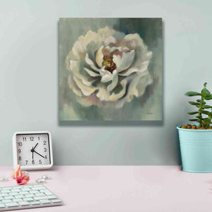Epic Art 'Dancing Petals' by Silvia Vassileva, Canvas Wall Art,12 x 12