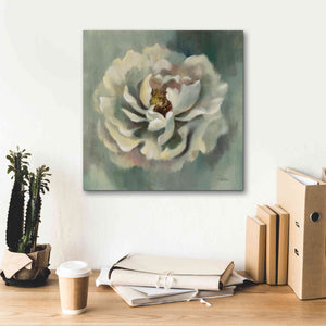 Epic Art 'Dancing Petals' by Silvia Vassileva, Canvas Wall Art,18 x 18
