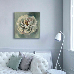 Epic Art 'Dancing Petals' by Silvia Vassileva, Canvas Wall Art,37 x 37