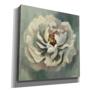 Epic Art 'Dancing Petals' by Silvia Vassileva, Canvas Wall Art,12x12x1.1x0,18x18x1.1x0,26x26x1.74x0,37x37x1.74x0