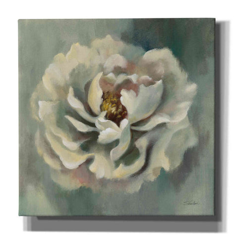 Image of Epic Art 'Dancing Petals' by Silvia Vassileva, Canvas Wall Art,12x12x1.1x0,18x18x1.1x0,26x26x1.74x0,37x37x1.74x0