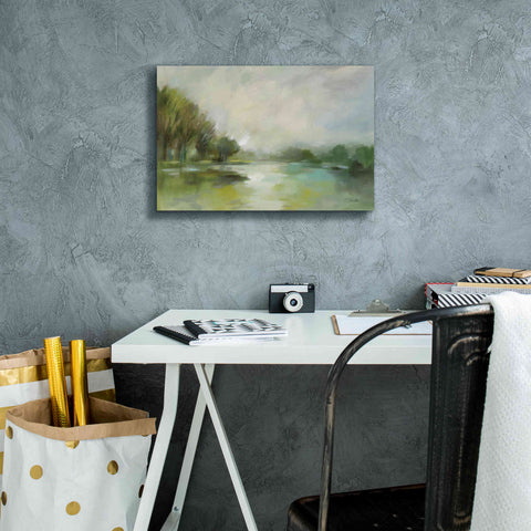 Image of Epic Art 'Lakeside Fog' by Silvia Vassileva, Canvas Wall Art,18 x 12