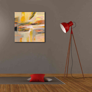 'Happy Sunshine' by Silvia Vassileva, Canvas Wall Art,26 x 26