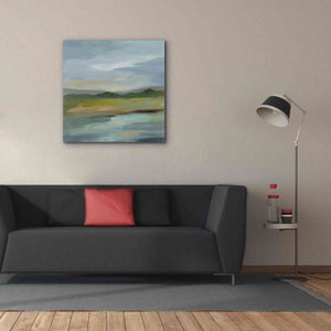 'Clouds and Shadows' by Silvia Vassileva, Canvas Wall Art,37 x 37