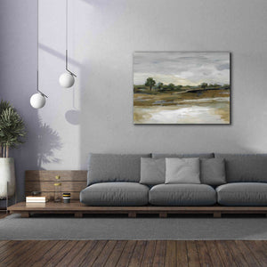 'Cool April Day' by Silvia Vassileva, Canvas Wall Art,54 x 40