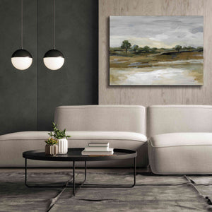 'Cool April Day' by Silvia Vassileva, Canvas Wall Art,54 x 40