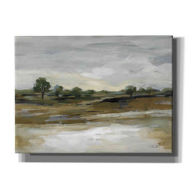 'Cool April Day' by Silvia Vassileva, Canvas Wall Art,16x12x1.1x0,26x18x1.1x0,34x26x1.74x0,54x40x1.74x0
