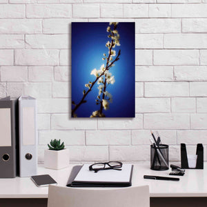 'Almost Blue' by Cesare Bellassai, Canvas Wall Art,12 x 18