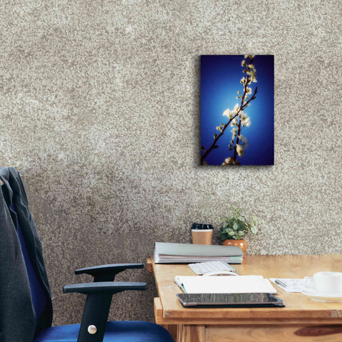 Image of 'Almost Blue' by Cesare Bellassai, Canvas Wall Art,12 x 18