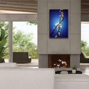 'Almost Blue' by Cesare Bellassai, Canvas Wall Art,26 x 40