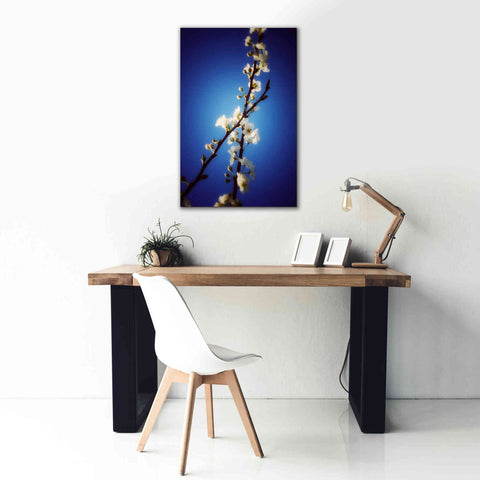 Image of 'Almost Blue' by Cesare Bellassai, Canvas Wall Art,26 x 40