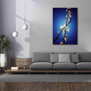 'Almost Blue' by Cesare Bellassai, Canvas Wall Art,40 x 60