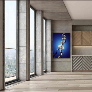 'Almost Blue' by Cesare Bellassai, Canvas Wall Art,40 x 60