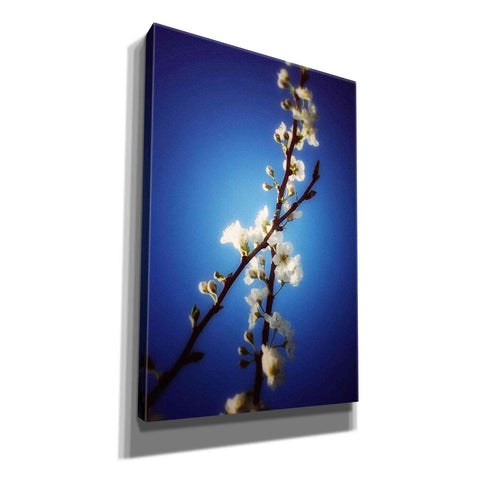 Image of 'Almost Blue' by Cesare Bellassai, Canvas Wall Art,12x18x1.1x0,18x26x1.1x0,26x40x1.74x0,40x60x1.74x0