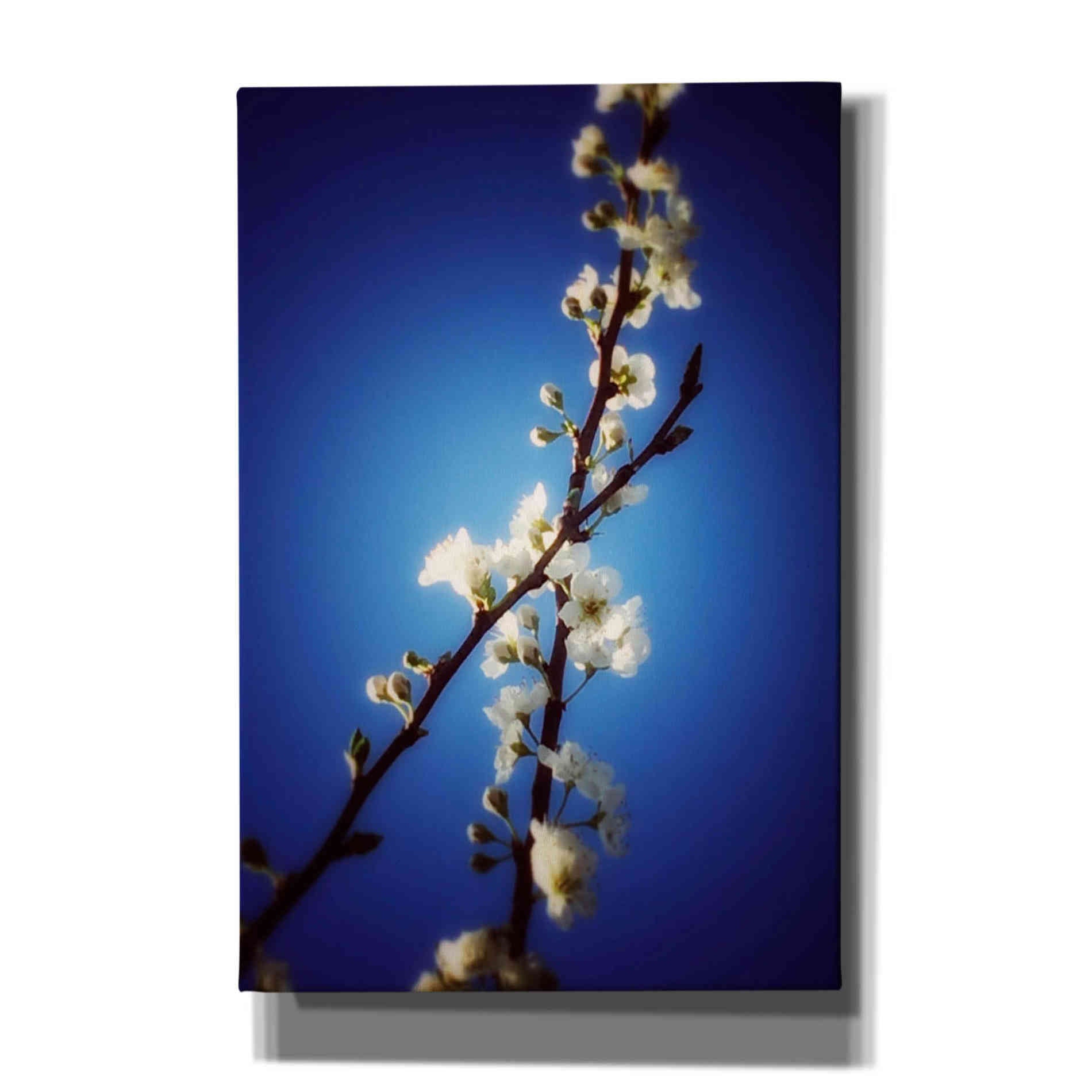 'Almost Blue' by Cesare Bellassai, Canvas Wall Art,12x18x1.1x0,18x26x1.1x0,26x40x1.74x0,40x60x1.74x0