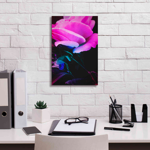 Image of 'Eternal Passion' by Cesare Bellassai, Canvas Wall Art,12 x 18