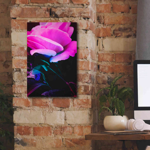 Image of 'Eternal Passion' by Cesare Bellassai, Canvas Wall Art,12 x 18
