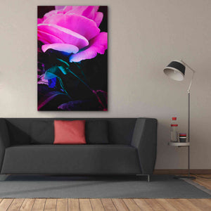 'Eternal Passion' by Cesare Bellassai, Canvas Wall Art,40 x 60