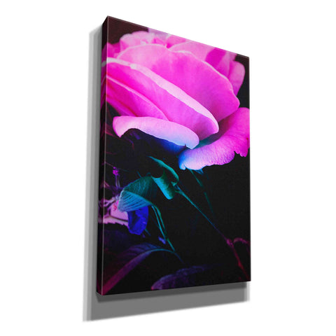 Image of 'Eternal Passion' by Cesare Bellassai, Canvas Wall Art,12x18x1.1x0,18x26x1.1x0,26x40x1.74x0,40x60x1.74x0