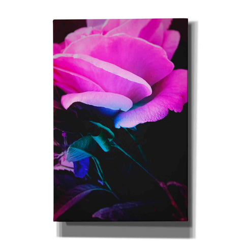 Image of 'Eternal Passion' by Cesare Bellassai, Canvas Wall Art,12x18x1.1x0,18x26x1.1x0,26x40x1.74x0,40x60x1.74x0